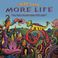 More Life Mp3