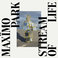 Stream Of Life Mp3