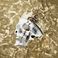 Beautifully Broken (Pickin' Up The Pieces) Mp3