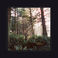 Seed Of A Seed Mp3