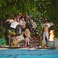Lambrini Girls - Who Let The Dogs Out Mp3