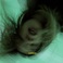 Carsick (CDS) Mp3