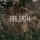 Goliath: Original Motion Picture Soundtrack To A Film That Doesn’t Exist Mp3