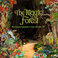 The Magic Forest: More Pastoral Psychedelia & Funky Folk 1968-1975 CD1 Mp3
