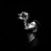 9 Lives Mp3