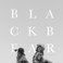 Black Bear (Hushed) Mp3