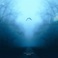 Vertigo (With Swum) Mp3