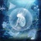 Oyster Mp3
