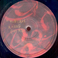 Marecage (EP) Mp3