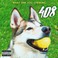 What Are You Chewing (EP) Mp3
