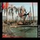 Swim For Your Life Mp3