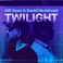Hifi Sean & David McAlmont - Twilight Mp3