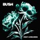 I Beat Loneliness Mp3