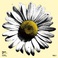 Heart Of Gold: The Songs Of Neil Young Vol. 1 Mp3