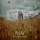 Wild Mp3
