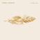 Spell Songs - In Thin Air Mp3