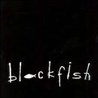 Blackfish Mp3