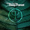 Essence Of The Forest Mp3
