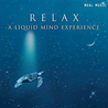 Relax: A Liquid Mind Experience Mp3