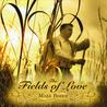 Fields Of Love Mp3