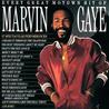 Every Great Motown Hit Of Marvin Gaye Mp3