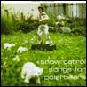 Songs for Polar Bears Mp3