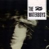 The Waterboys Mp3