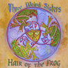 Hair Of the Frog Mp3