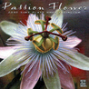 Passion Flower: Zoot Sims Plays Duke Ellington Mp3