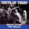 Break Down the Walls Mp3