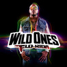 Wild Ones Mp3