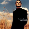 A Secret History: Best Of The Divine Comedy (Limited Edition With Book) Mp3