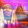 Spirit Of The Shaman Mp3