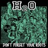 Don't Forget Your Roots Mp3