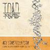 New Constellation (Deluxe Edition) Mp3