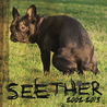 Seether: 2002-2013 CD1 Mp3