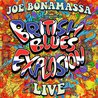 British Blues Explosion Live CD2 Mp3