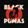 Black Pumas Mp3