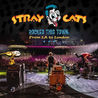 Stray Cats - Rocked This Town: From La To London (Live) Mp3