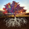 Robert Plant - Digging Deep: Subterranea Mp3