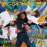 Ziggy Marley - More Family Time Mp3