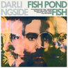 Darlingside - Fish Pond Fish Mp3