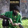 TARRUS RILEY - Healing Mp3