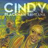 Cindy Blackman Santana - Give The Drummer Some Mp3