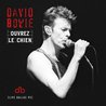David Bowie - Ouvrez Le Chien (Live Dallas 95) Mp3