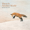 Peter Mulvey - There Is Another World Mp3