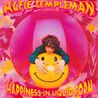 Alfie Templeman - Happiness In Liquid Form Mp3