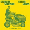 Sturgill Simpson - Cuttin' Grass Mp3