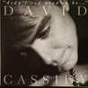 David Cassidy - Didn't You Used To Be... Mp3