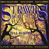 Strawbs Acoustic - Full Bloom - Live At Natural Sound Mp3